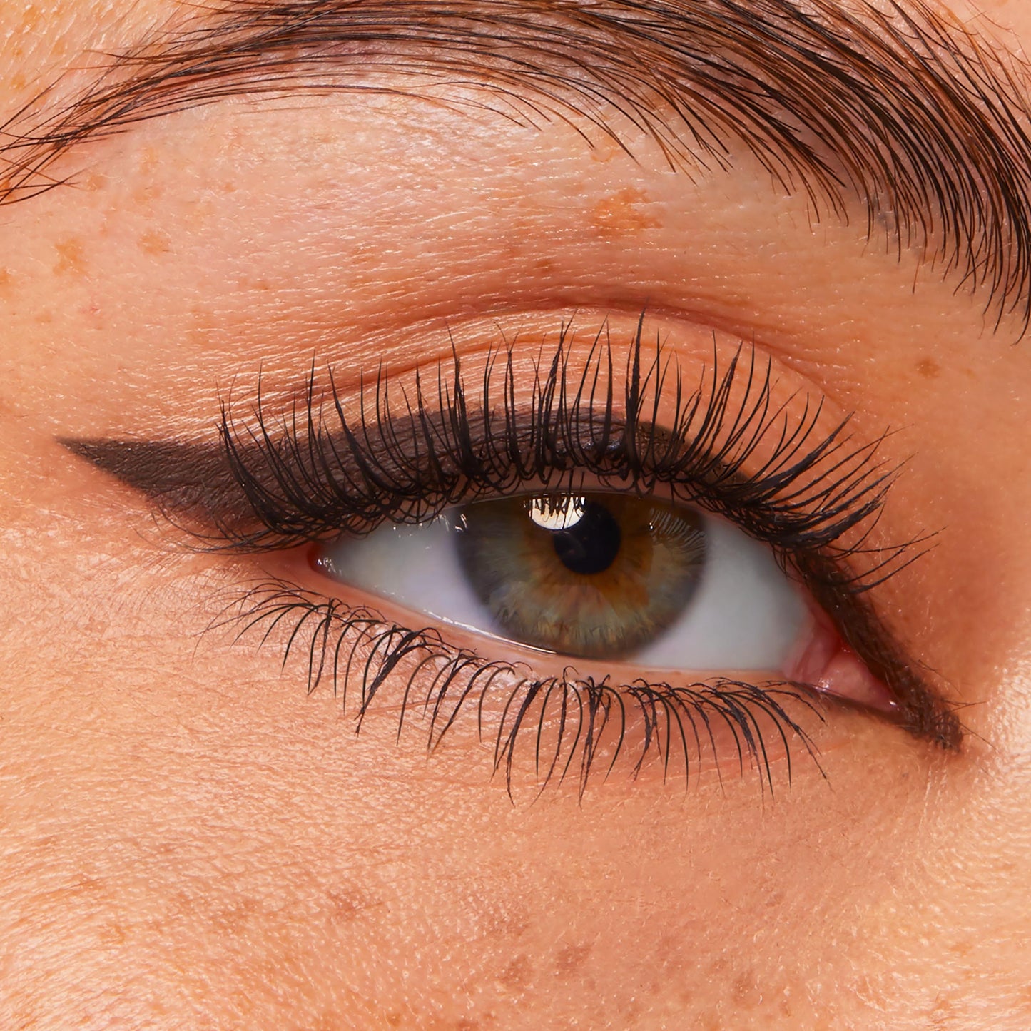 Eye Bundle