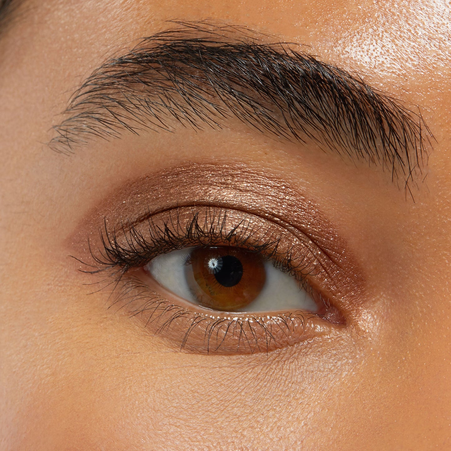 Eye Bundle